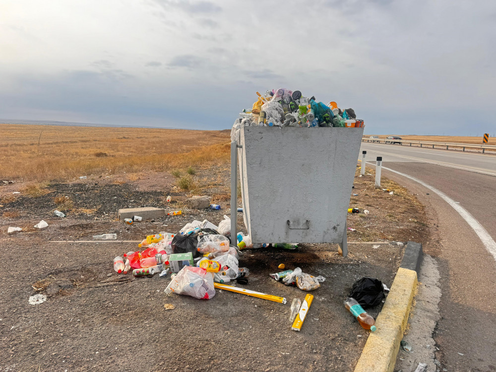 Солист және студиялық секс-видео